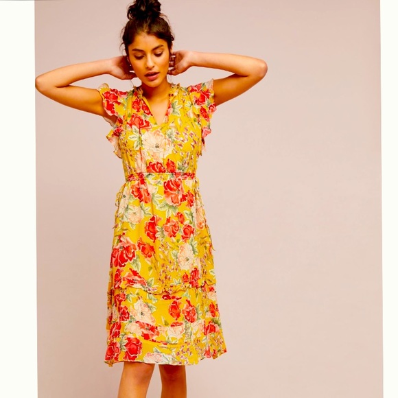Anthropologie Flutter Sleeve Dress - Picture 1 of 8